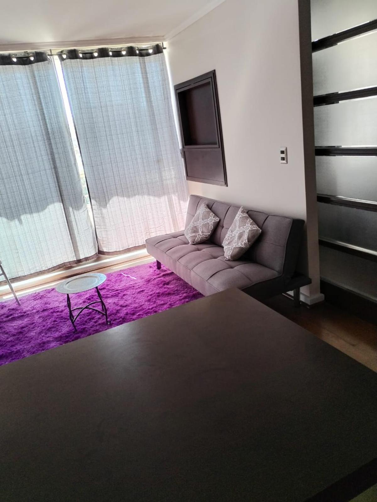 Apartamento Depto Vina Park Ii